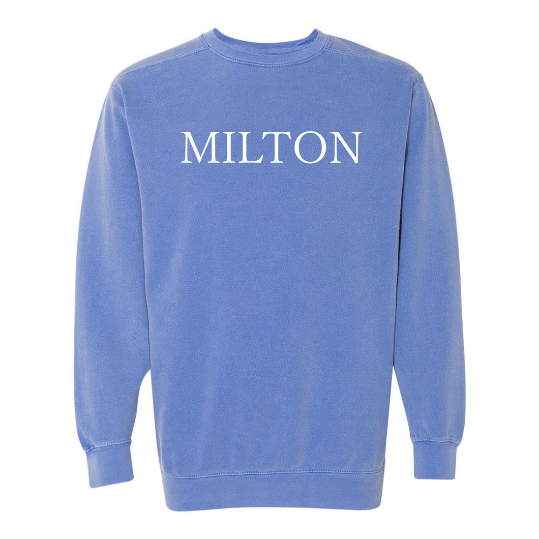 Milton Cityscape Sweatshirt (Blue) *Size 3XL Only*