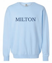 Load image into Gallery viewer, Cityscape Sweatshirt (Hydrangea)