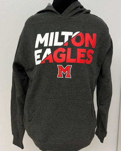 Youth Hoodie (Charcoal)