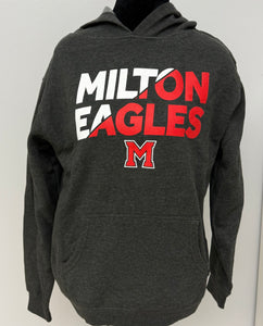 Youth Hoodie (Charcoal)