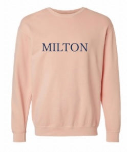 Cityscape Sweatshirt (Peach)