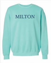 Load image into Gallery viewer, Cityscape Sweatshirt (Mint)