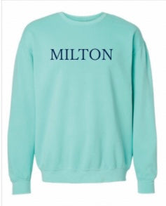 Cityscape Sweatshirt (Mint)