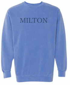 Milton Cityscape Sweatshirt (Florida Blue)