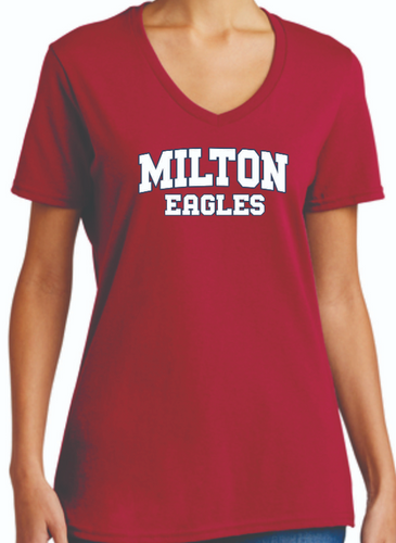 Ladies Sparkle V-Neck